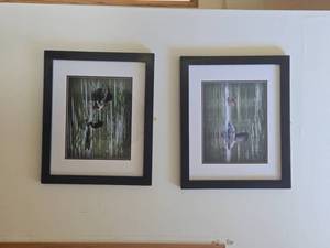 Loon theme Framed and Matted Wall Art
