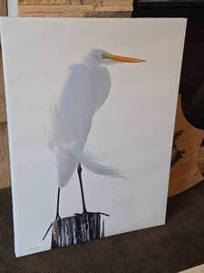 Painting - Pelican by Joyce Kleven - Signed