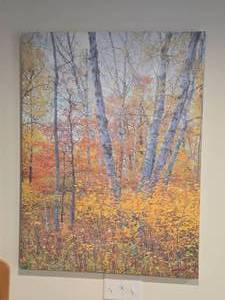 Canvas Artwork - Nature by Joyce Kleven - Signed
