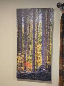 Canvas Artwork - Nature by Joyce Kleven - Signed