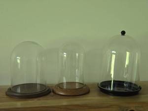 Lot of (3) Cloche Dome with Wood Base - (2) Glass  (1) Plastic