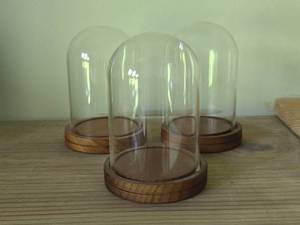 Lot of (3) Clear Glass Cloche Dome with Wood Base