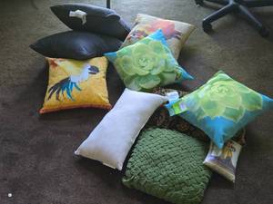 Lot of (10) Throw Pillows (assorted)
