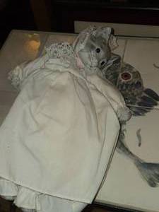 Porcelain Cat Head Music Box Doll