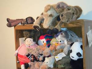 Lot of (1 Shelf) Stuff Animal Plush Toys