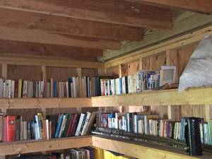 Lot of (2 Shelves) Books