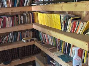 Lot of (2 Shelves) Books