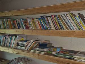 Lot of (2 Shelves) Books
