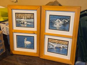 Lot of (2) Swan theme Art Work - Joyce Kleven -