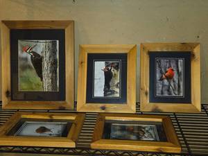 Lot of (5) Bird theme Art Work - Joyce Kleven -