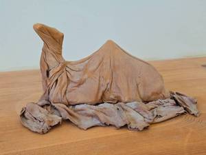 Leather-wrapped Camel Sculpture