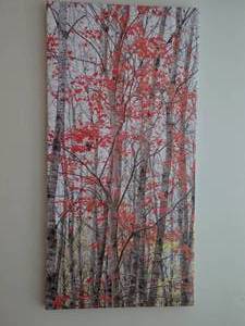 Canvas Wall Art - Joyce Kleven - Signed