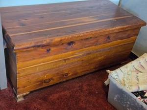 Cedar Trunk