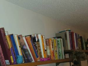 Lot of (1 Shelf) Books - Religion, Politics, Crafts, Travel