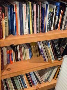 Lot of (3 Shelves) Books - Body, Travel, Art, Fireplaces