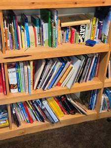Lot of (3 Shelves) Books - Children, Travel