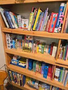 Lot of (4 Shelves) Books - Children, Educational, Pokemon, Bob Books