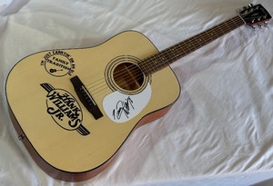 Hank Williams Jr. Autographed Custom Guitar - For Display Only