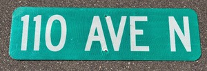 110th Avenue Collectible Street Sign