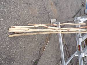 Cedar Sticks