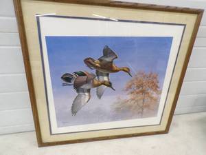 Maass Duck Print Framed