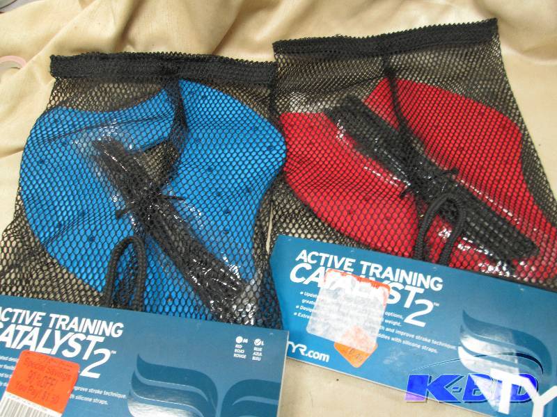 Active Training catalyst 2 Blue is ...