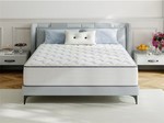 BABO CARE Queen Size Plush Hybrid Gel Memory Foam 10 in. Innerspring Euro Top Support and Motion Isolation Mattress