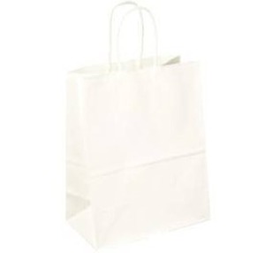 Parker Eight White Kraft Paper Bags 100 Pack $56.05 Retail - Brand New