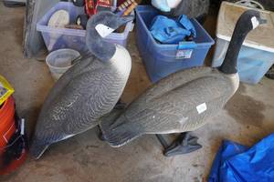 2 Goose Decoys