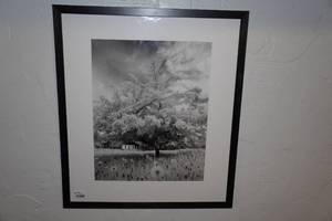 Framed Wall Art