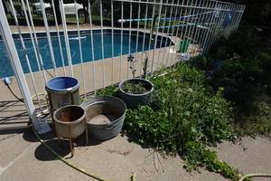 Assorted Planters