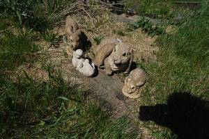 Outdoor Statues