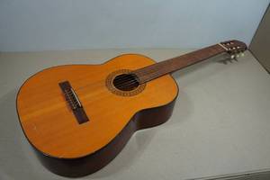 Acoustic Guitar