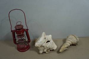 Seashells and Lantern