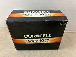 Duracell D Batteries