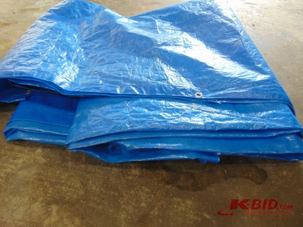lot 172 image: Large Tarp