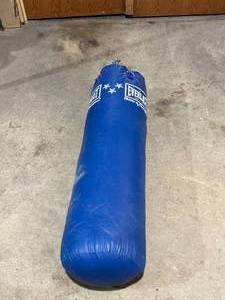 Everlast Punching Bag