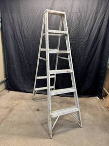 6 Step Aluminum Ladder