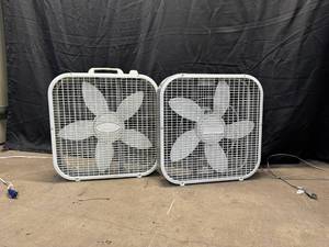 Box Fans