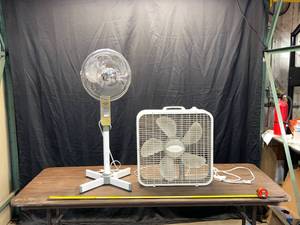 Fans