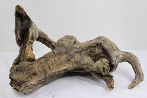 Natural Driftwood Root Sculpture