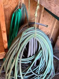 Garden Hoses - Assorted Coiled Hose Set