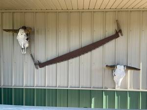 Longhorn Skull Wall Decor & Saw Blade Wall Art Mixed Lot