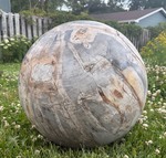 Massive Genuine Petrified Wood Sphere