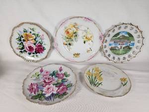Lot of Decorative Plates and Collector Plate