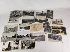 Lot of 15 Vintage RPPCs & Postcards - Devils Tower, Yellowstone Bears, Michigan, & 1930s Photo Ephemera