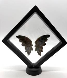 Carved Stone Butterfly Wings in Display Frame #1