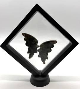 Carved Stone Butterfly Wings in Display Frame #2