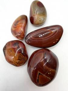 Polished Agate Stone Set (Lot of 5)