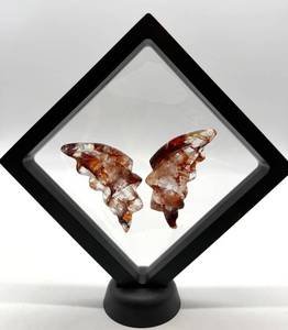 Carved Stone Butterfly Wings in Display Frame #4